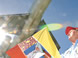 Kites cause concern