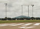Mackay Port Authority embarks on Tree Lopping program
